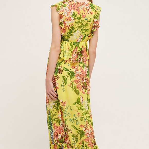 Anthropologie Sungrove Maxi Dress - Picture 2 of 10